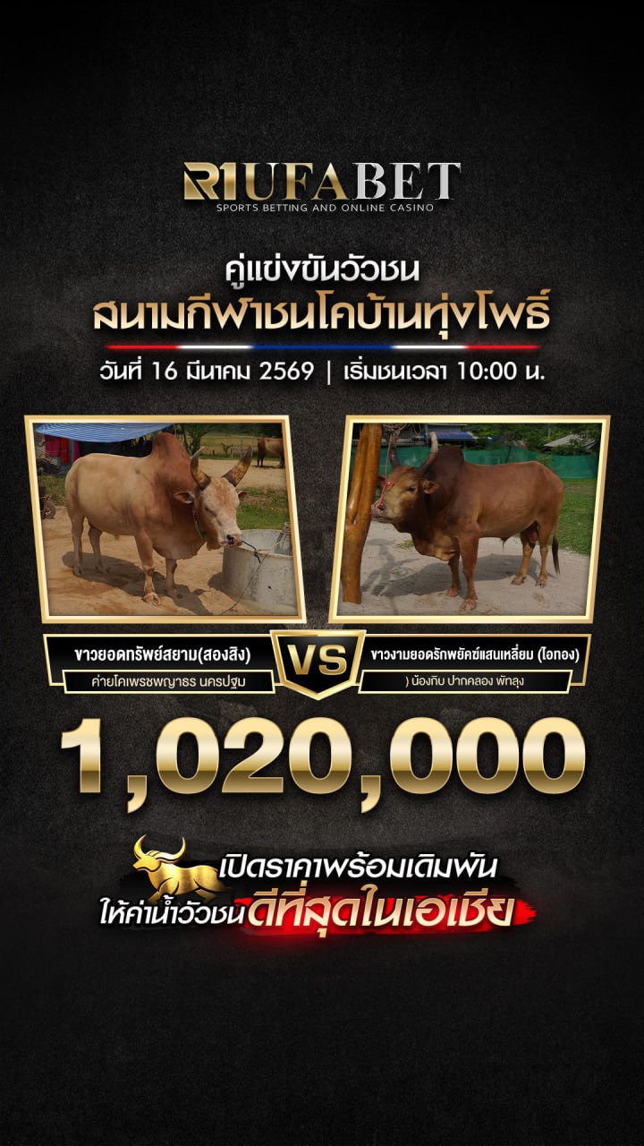 ���꡷���Ҿ