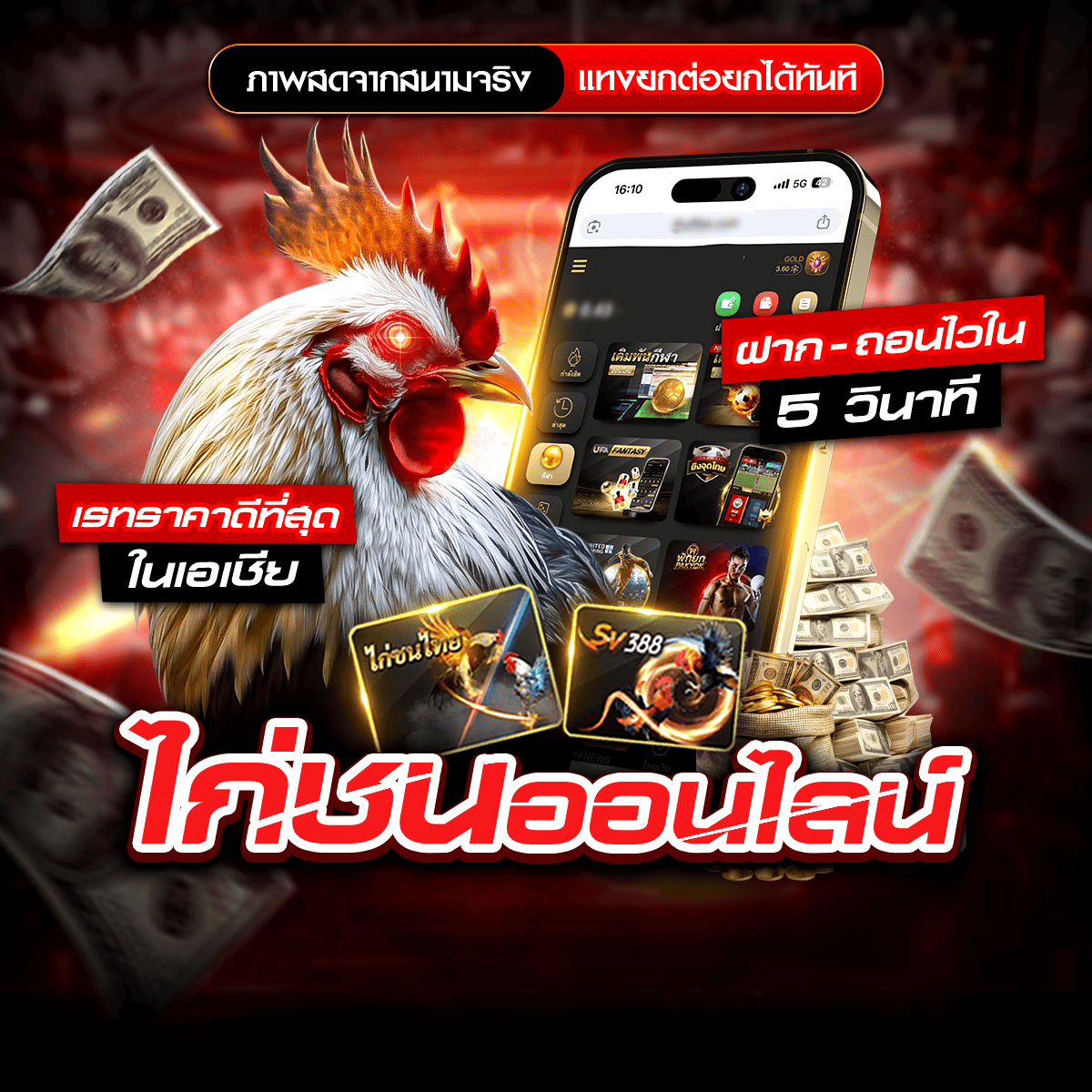 ���꡷���Ҿ