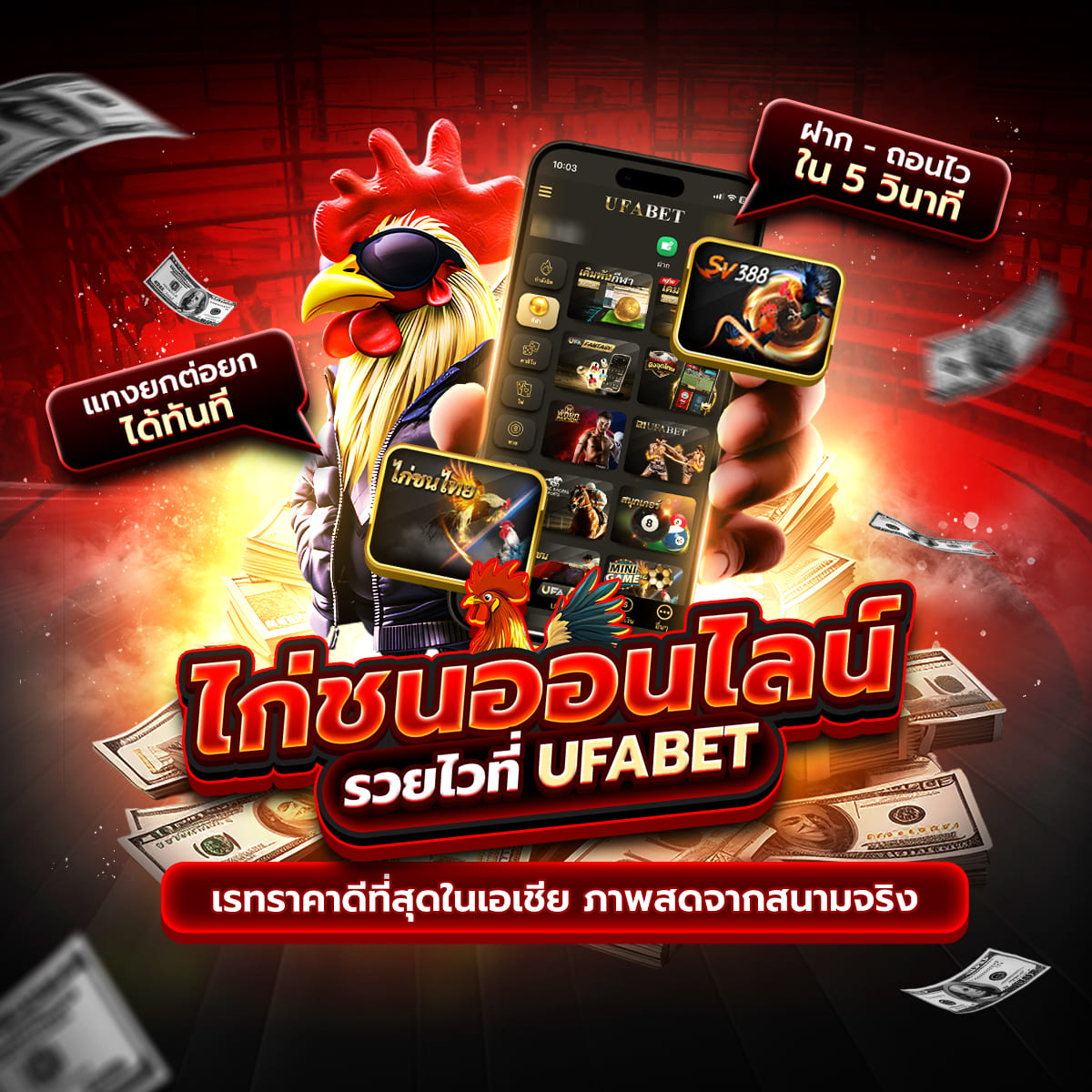 ���꡷���Ҿ