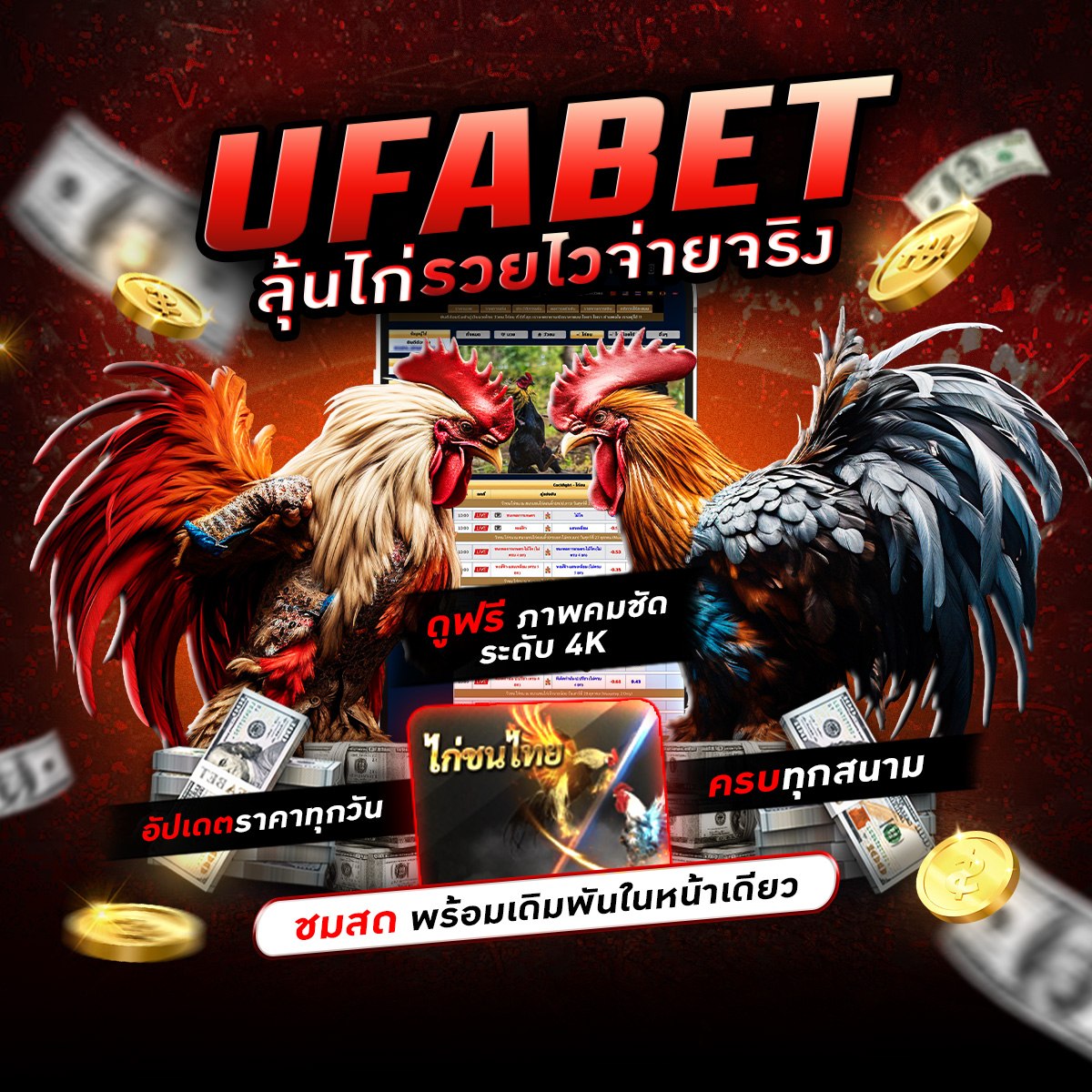 ���꡷���Ҿ