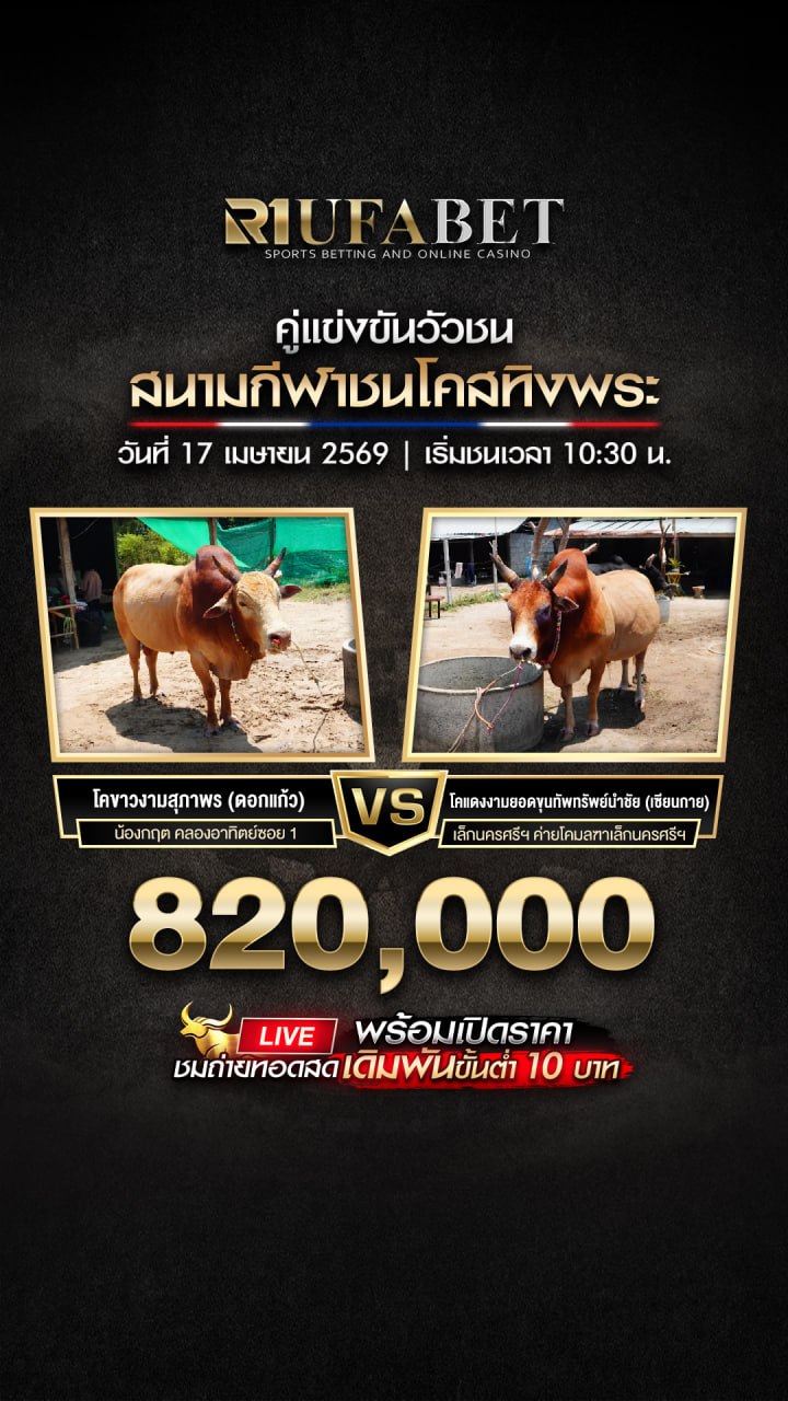 ���꡷���Ҿ